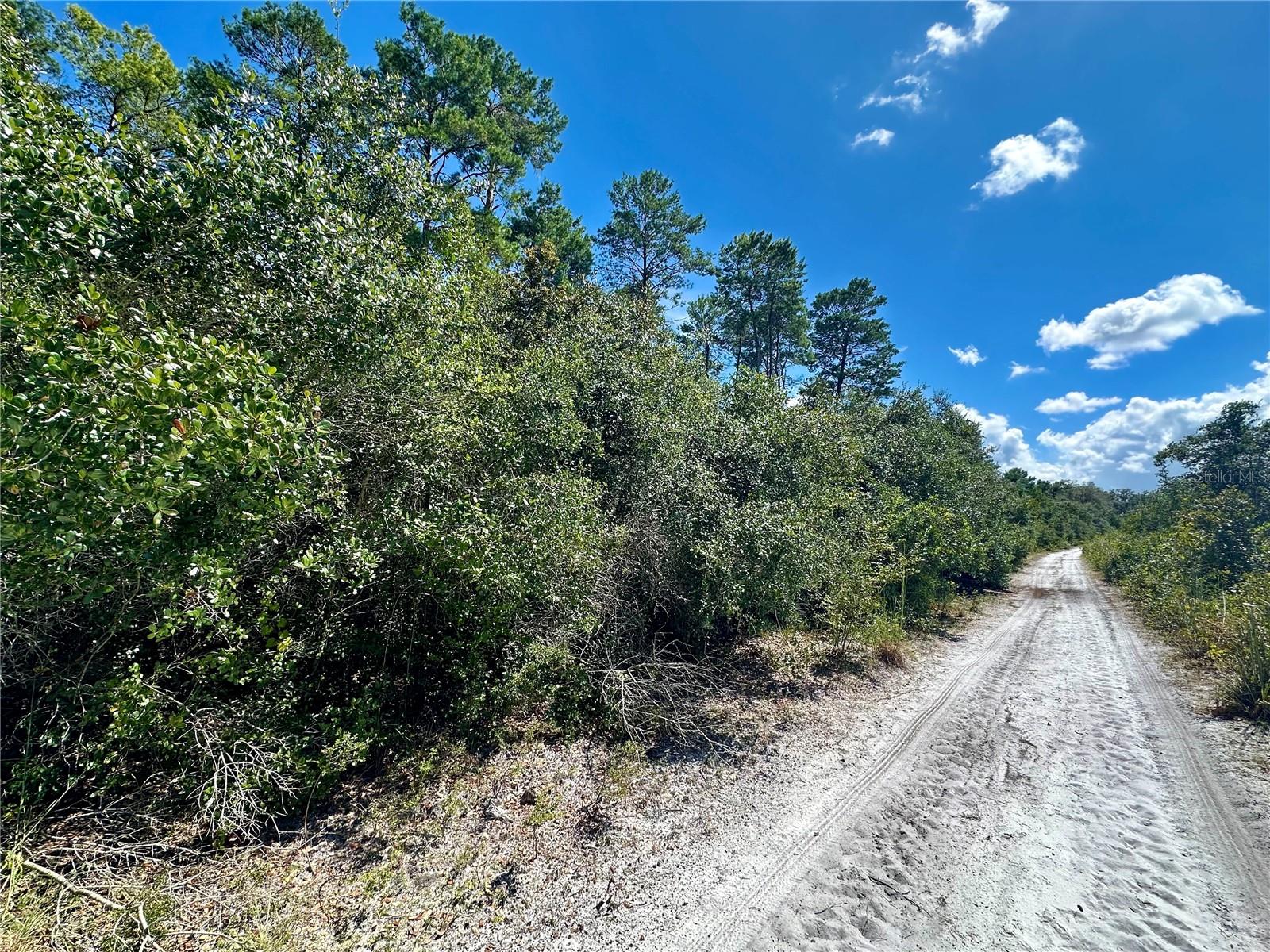 NO STREET, DELAND, FL, 32720