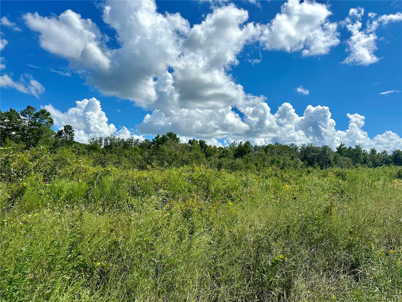NO STREET, DELAND, FL, 32720