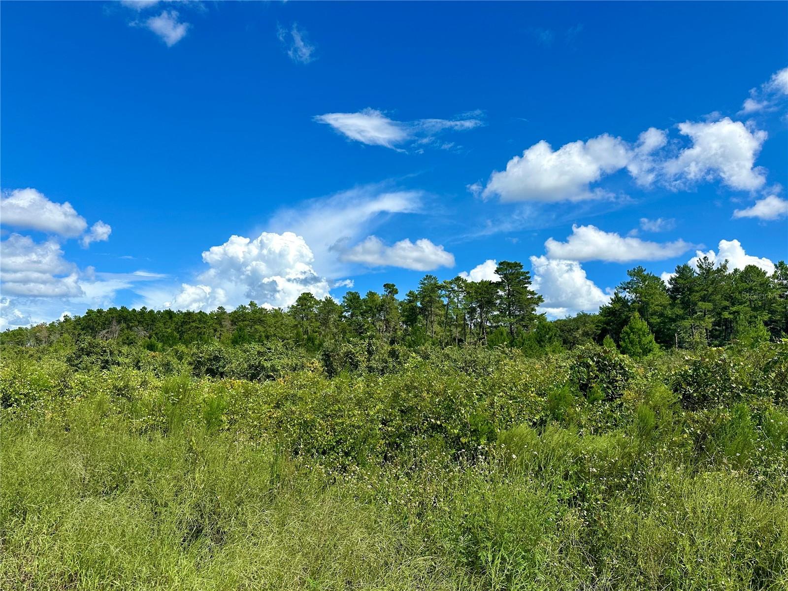 NO STREET, DELAND, FL, 32720