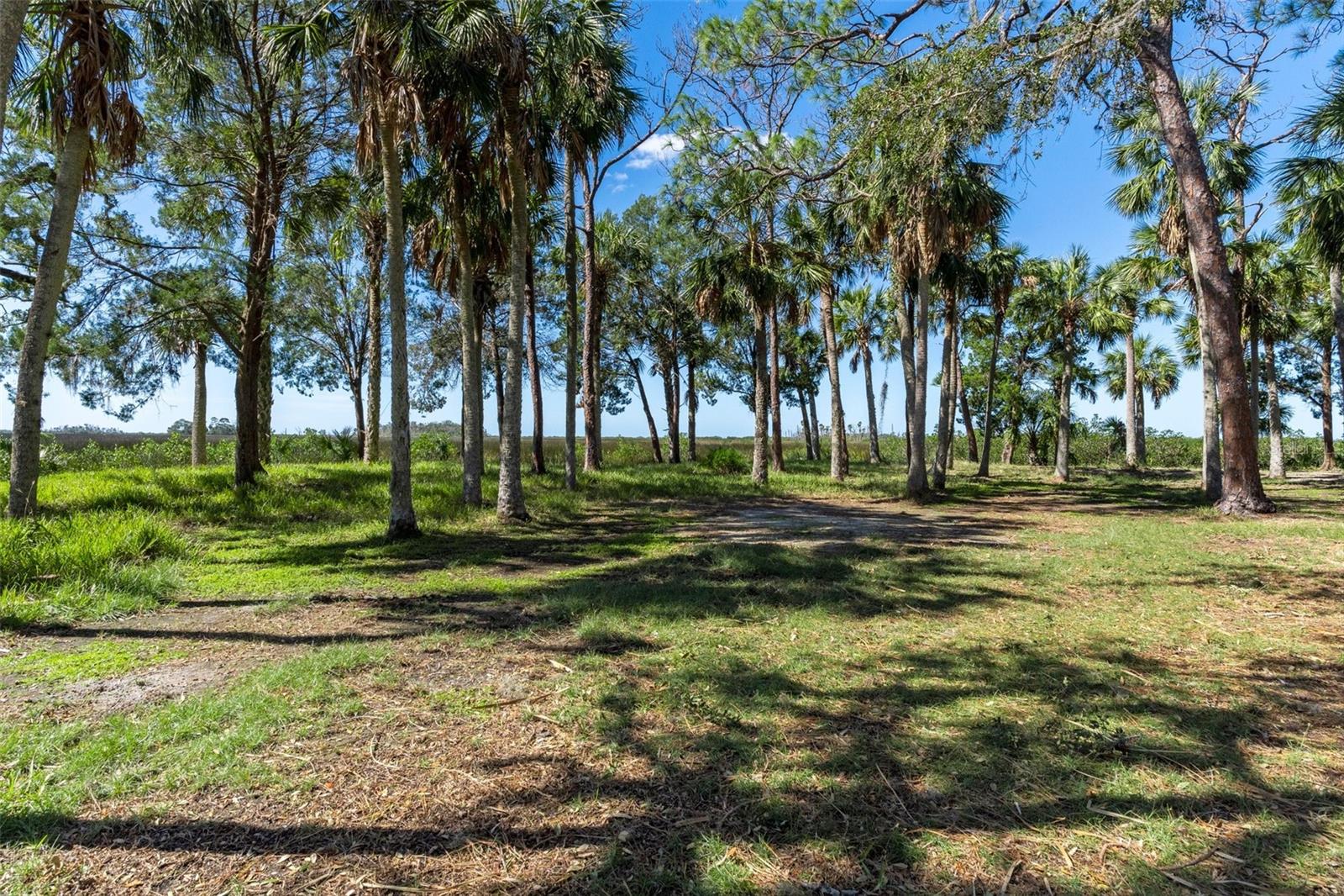8812 CAMP LN, HUDSON, FL, 34667