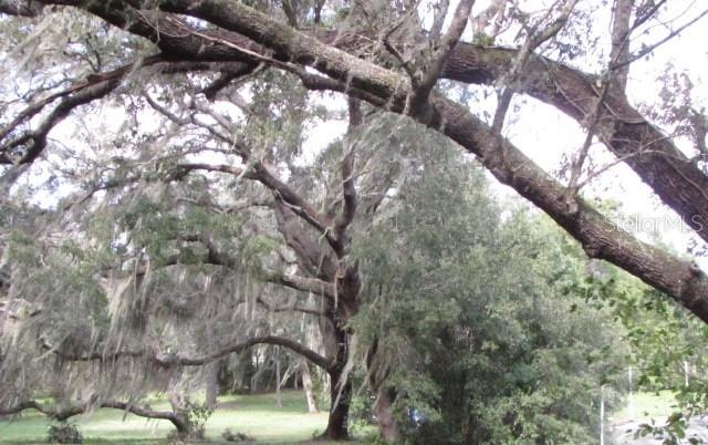 4125 S HIGHWAY 314A, OCKLAWAHA, FL, 32179