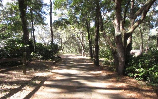 4125 S HIGHWAY 314A, OCKLAWAHA, FL, 32179