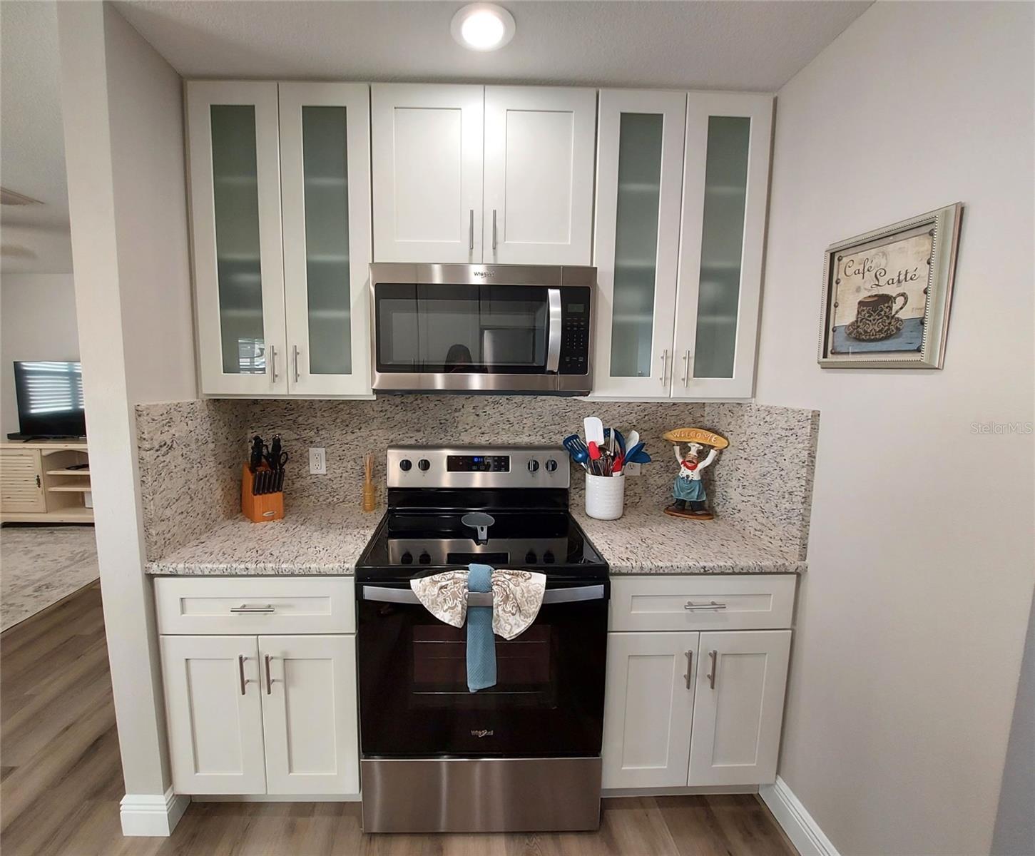 1251 JONESVILLE TER, THE VILLAGES, FL, 32162