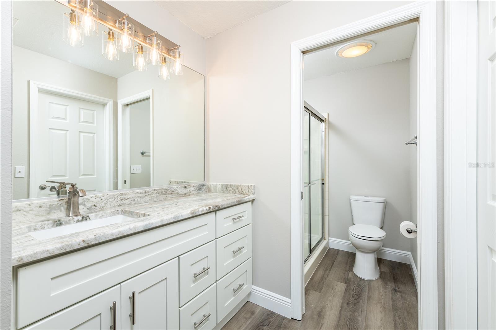 1251 JONESVILLE TER, THE VILLAGES, FL, 32162