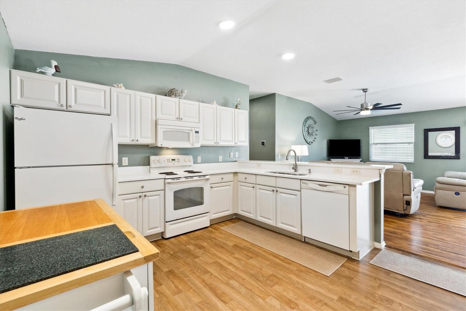 2570 BIRCH AVE, THE VILLAGES, FL, 32162