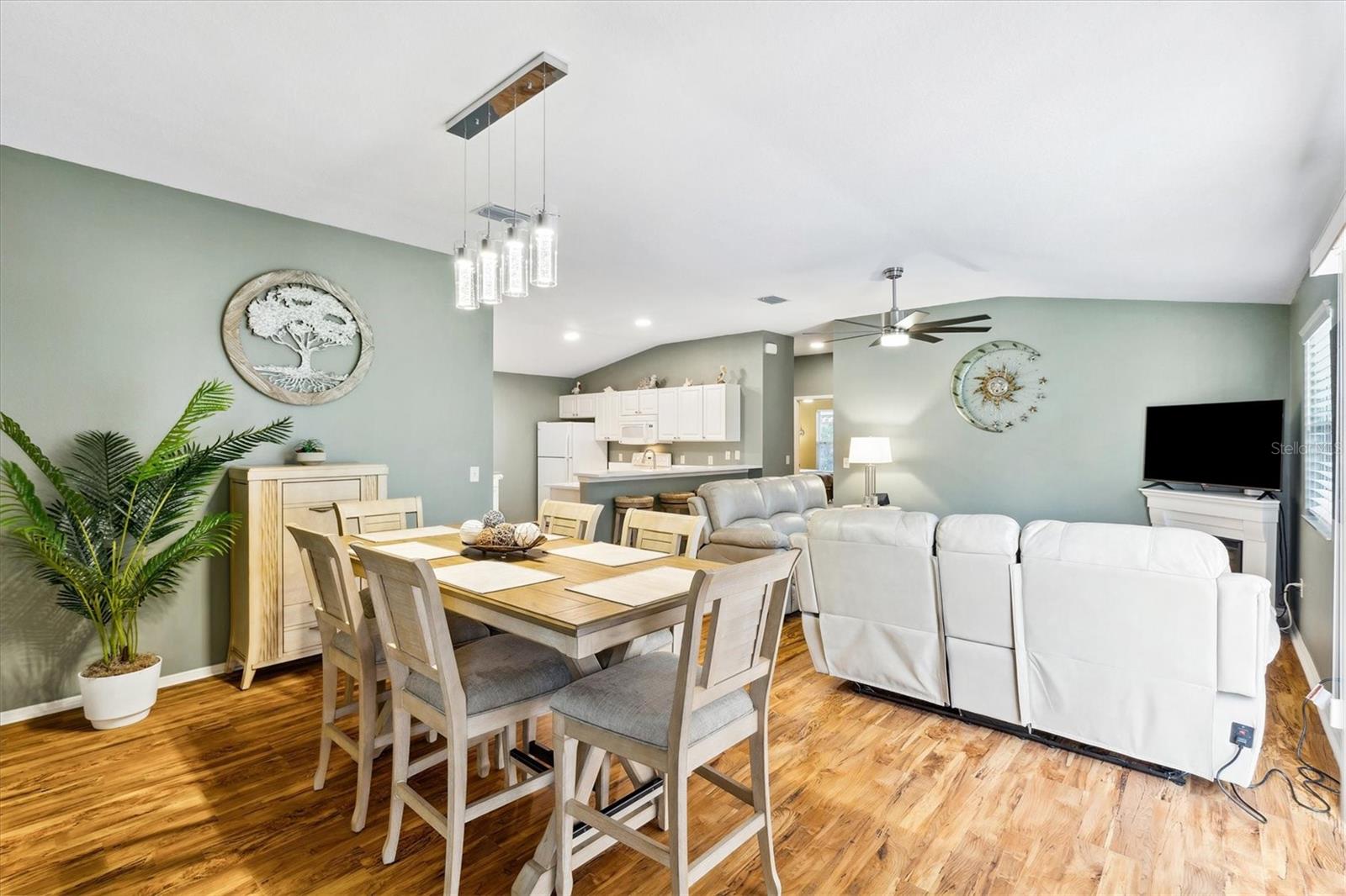2570 BIRCH AVE, THE VILLAGES, FL, 32162