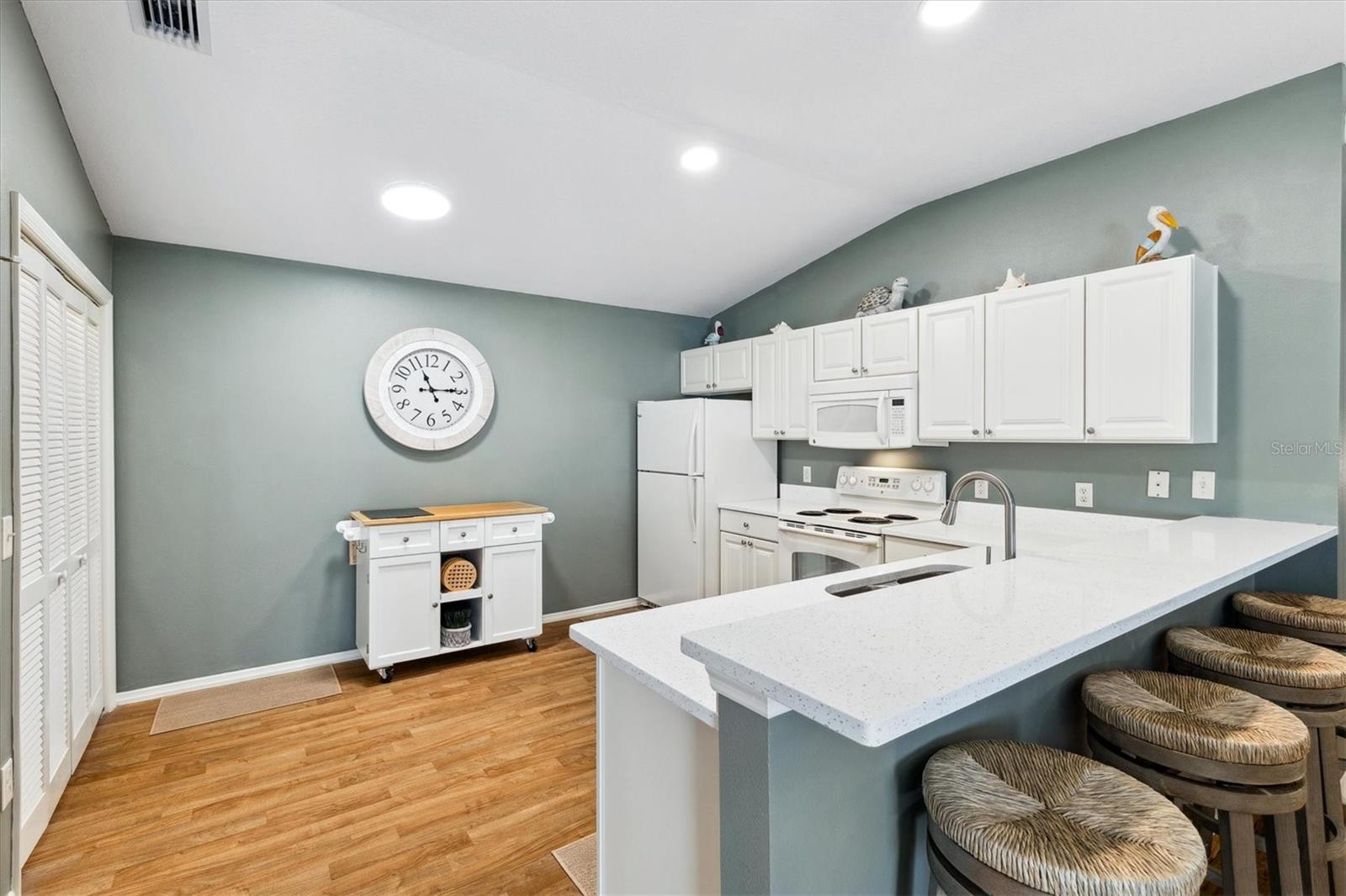 2570 BIRCH AVE, THE VILLAGES, FL, 32162