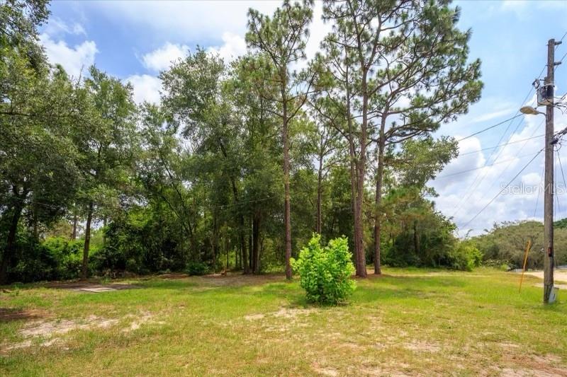 1259 WADE RD, APOPKA, FL, 32712