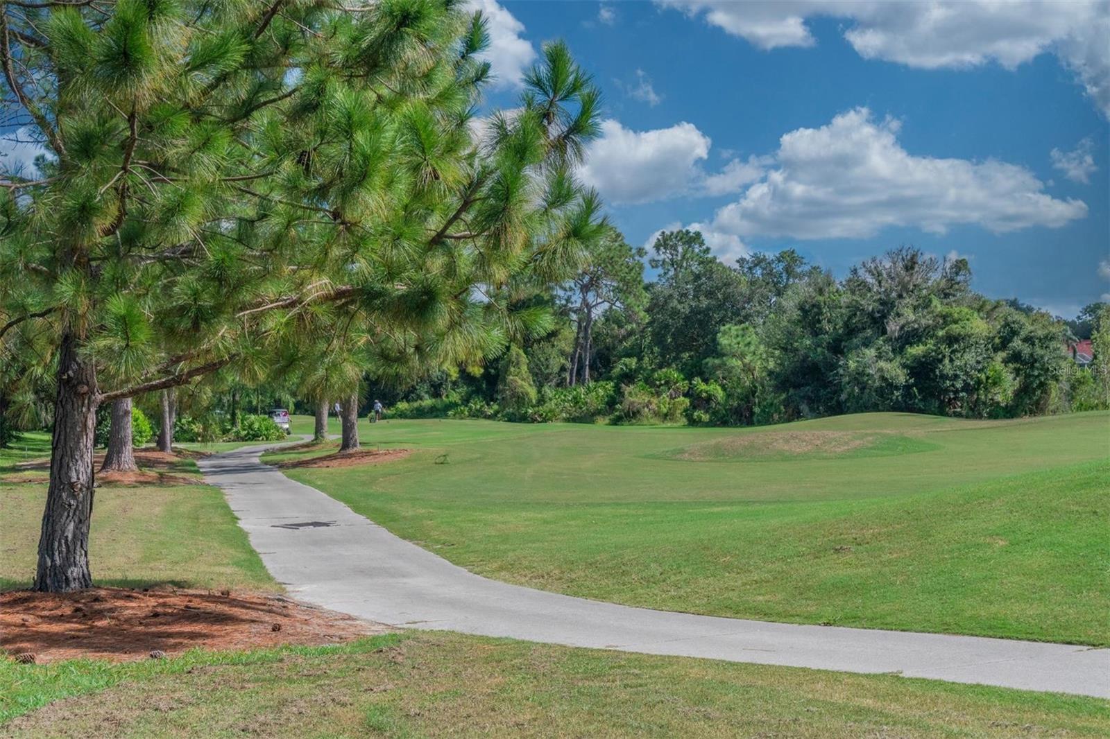 9226 HIGHLAND RIDGE WAY, TAMPA, FL, 33647
