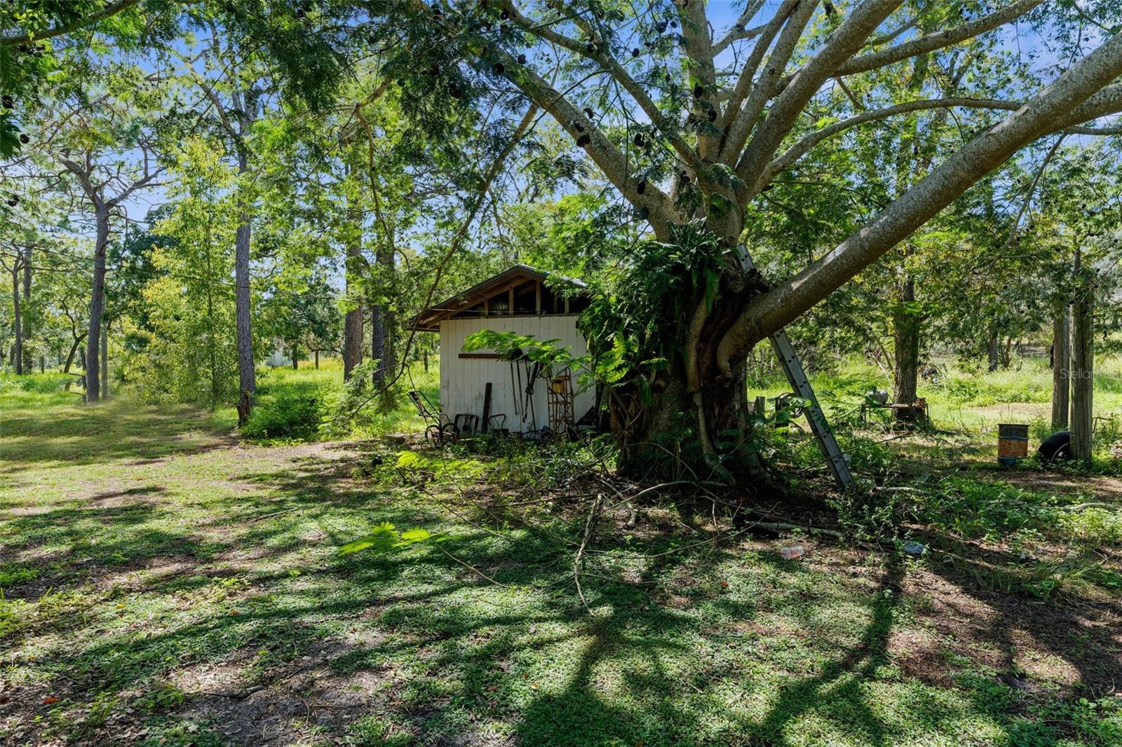 12908 KODIAK AVE, HUDSON, FL, 34667