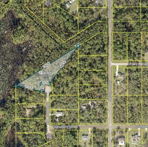TBD CHINABERRY WAY, EUSTIS, FL, 32736