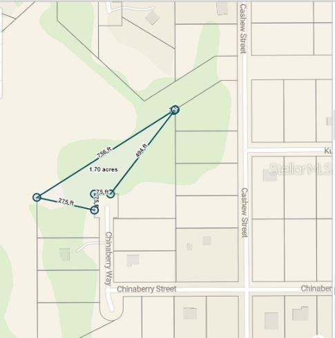 TBD CHINABERRY WAY, EUSTIS, FL, 32736