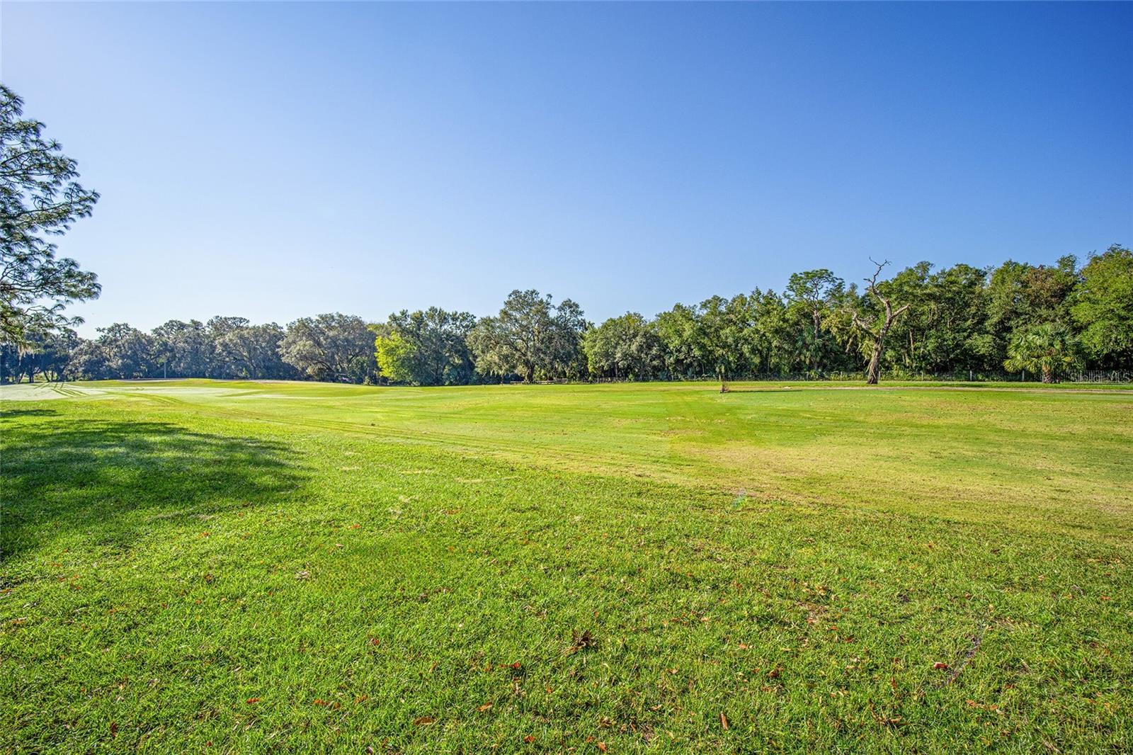 652 SILVER PASS, OCALA, FL, 34472