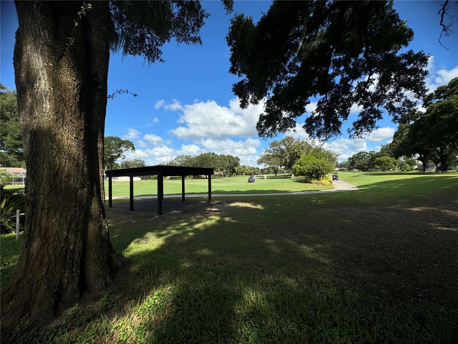 2706 FALLING LEAVES DR, VALRICO, FL, 33596