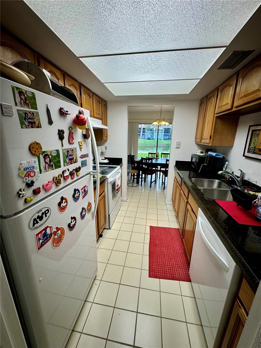 6110 PEREGRINE AVE #E05, ORLANDO, FL, 32819