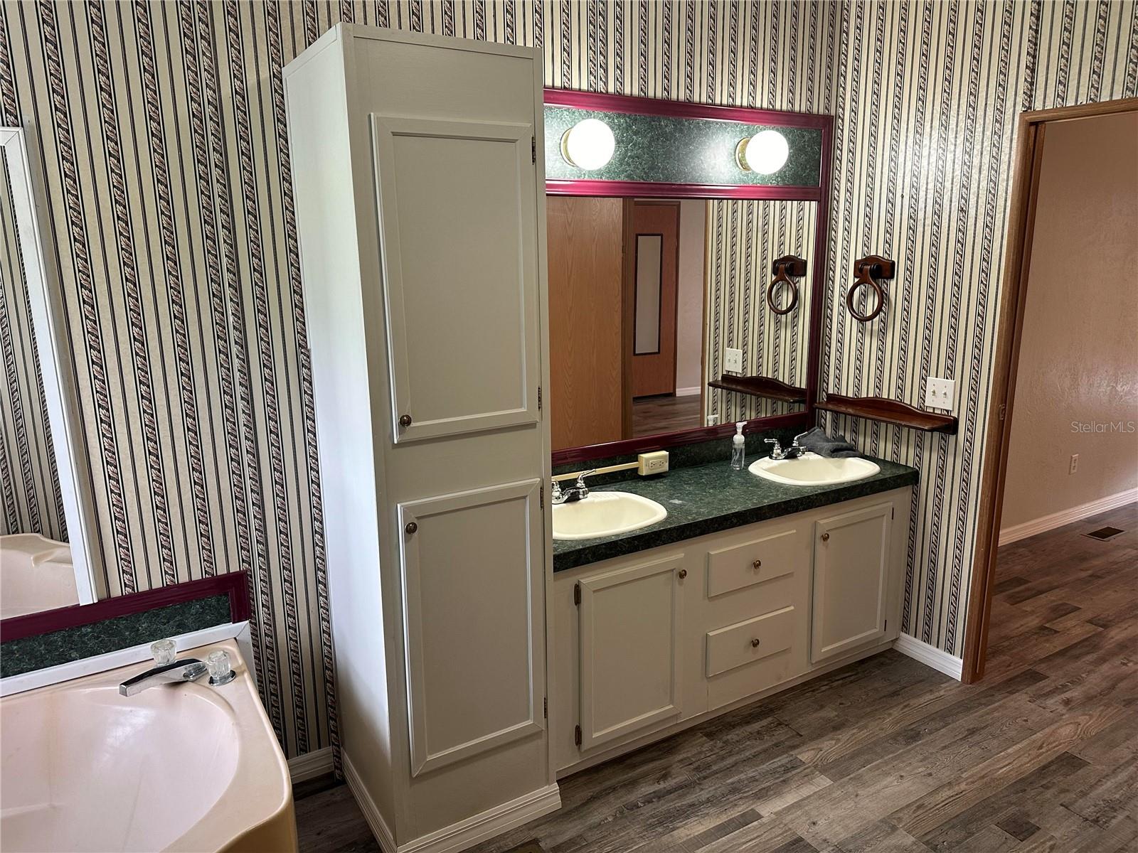 12586 SE 170TH ST, WEIRSDALE, FL, 32195