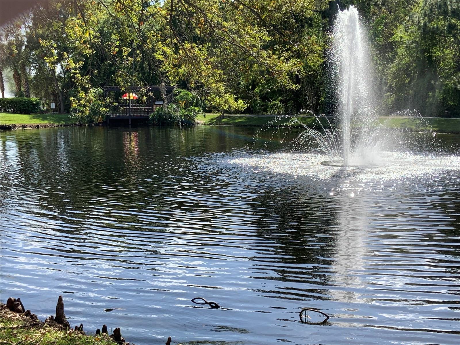 5463 VINELAND RD #5208, ORLANDO, FL, 32811