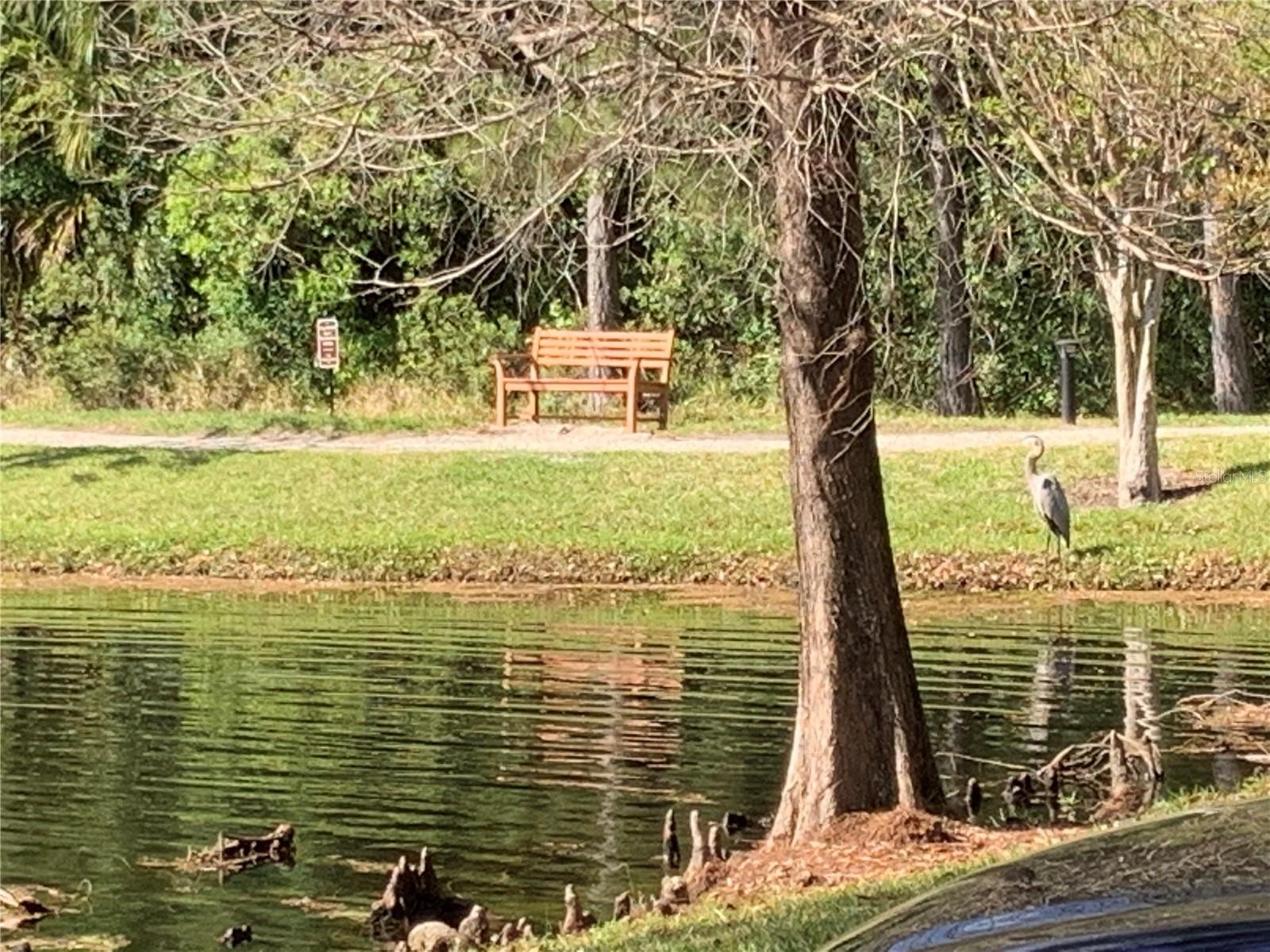 5463 VINELAND RD #5208, ORLANDO, FL, 32811