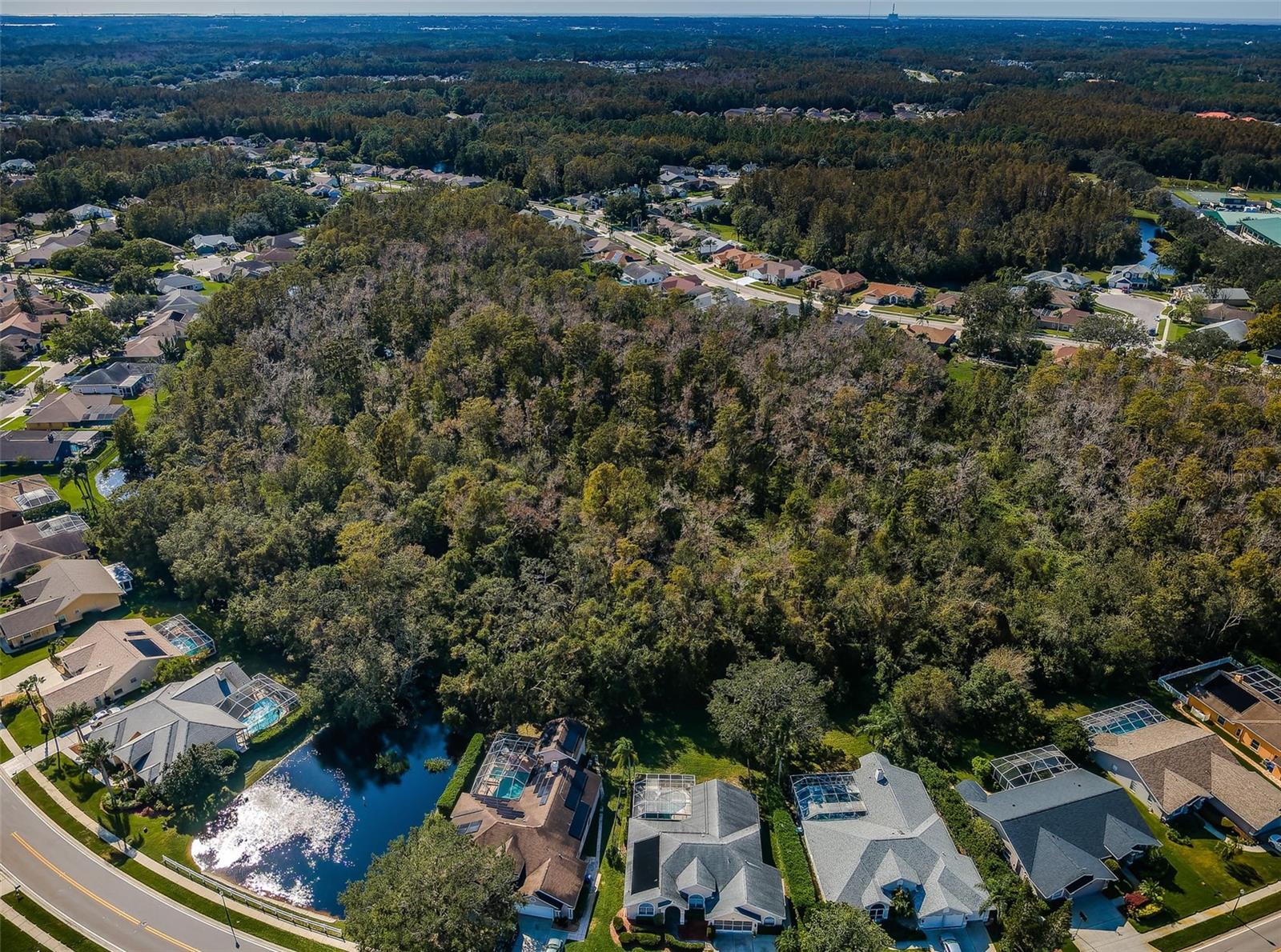 1810 KINSMERE DR, TRINITY, FL, 34655