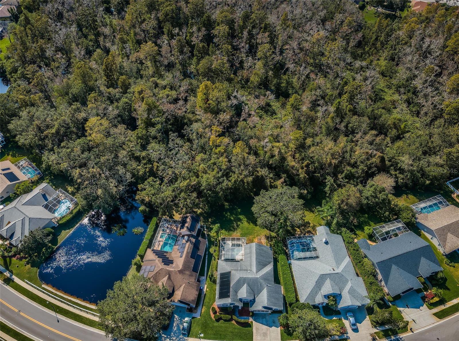 1810 KINSMERE DR, TRINITY, FL, 34655