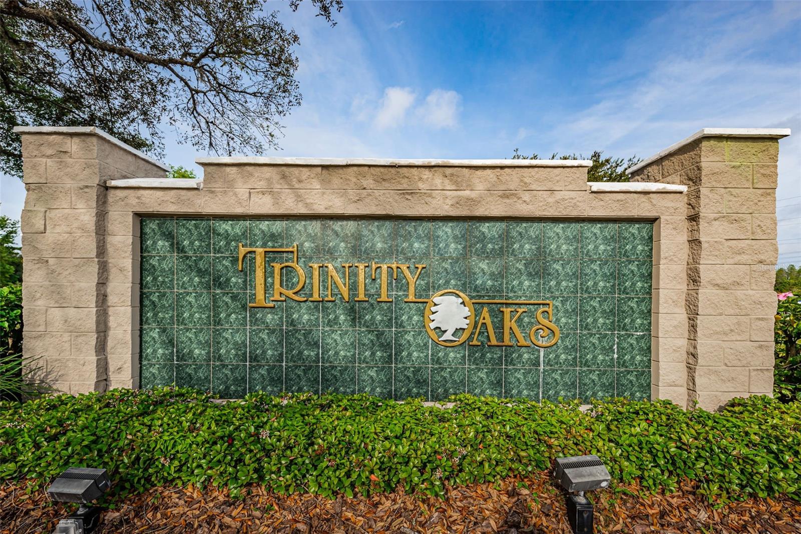 1810 KINSMERE DR, TRINITY, FL, 34655