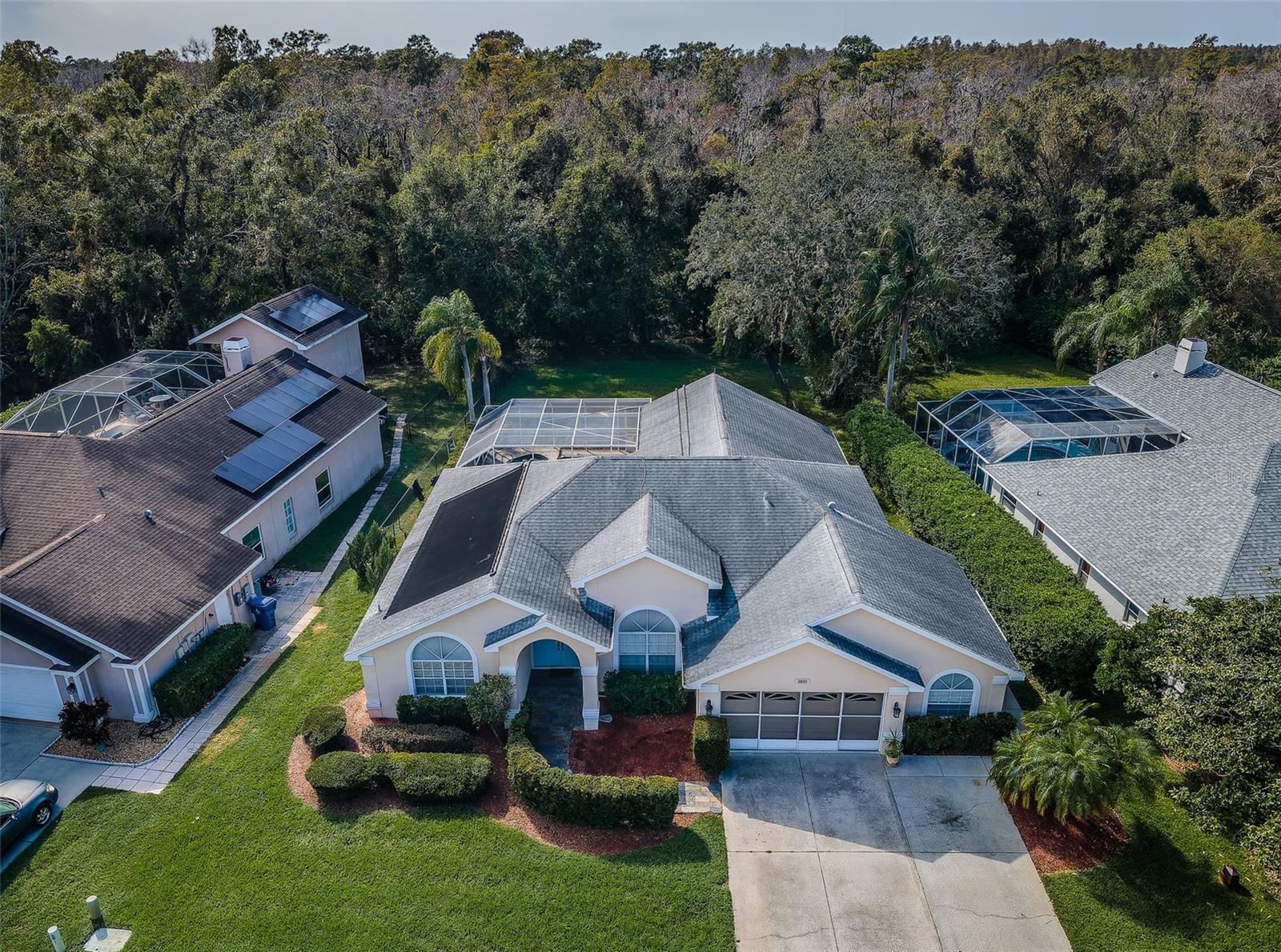 1810 KINSMERE DR, TRINITY, FL, 34655