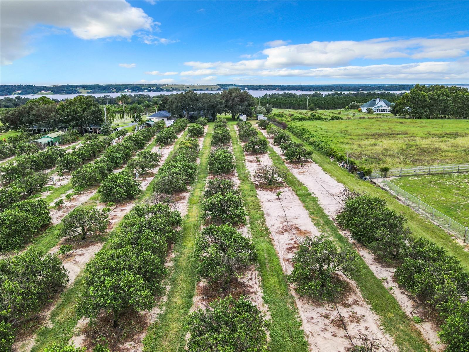 905 N CROOKED LAKE DR, BABSON PARK, FL, 33827