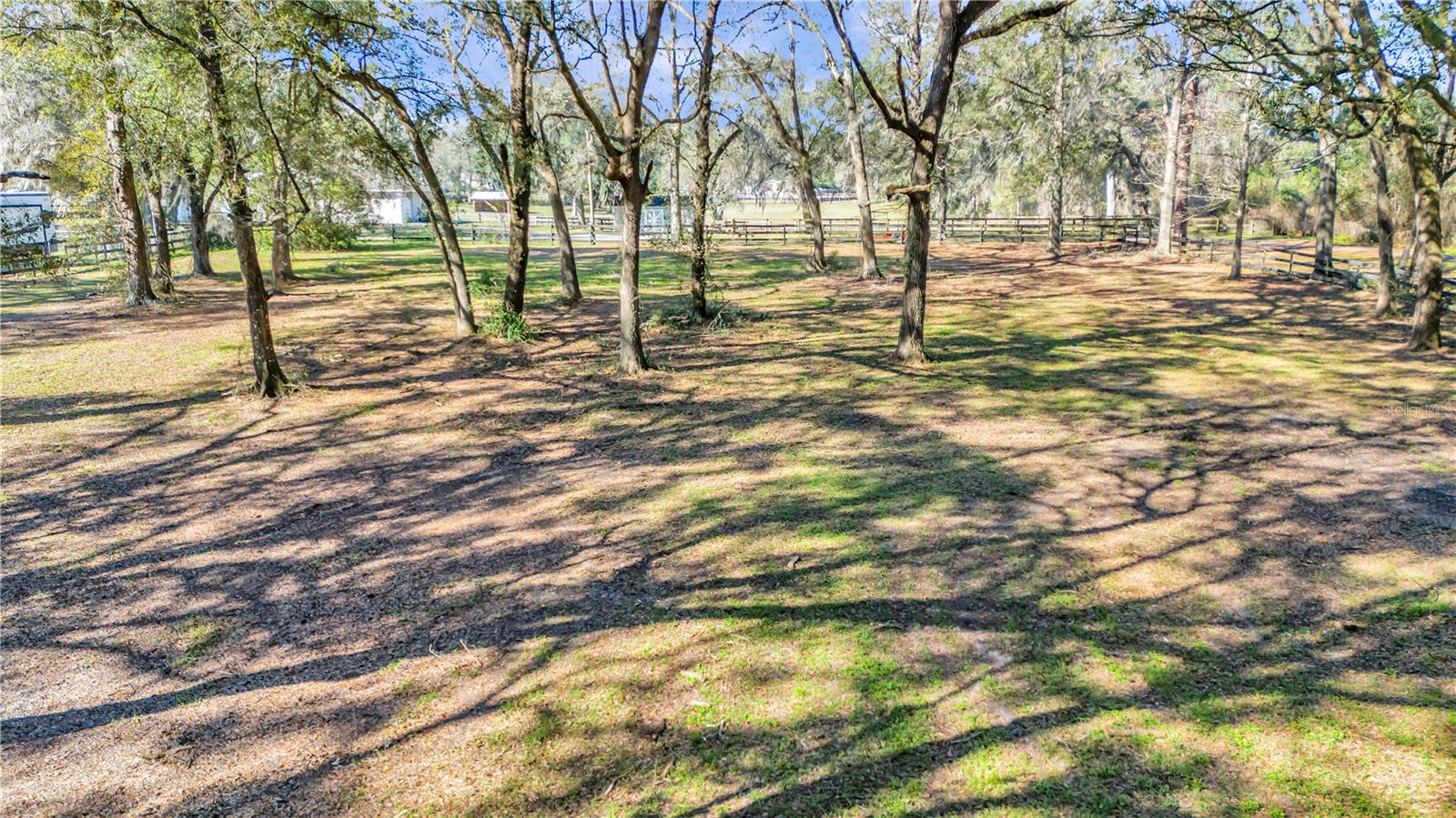 8650 NW 115TH AVE, OCALA, FL, 34482