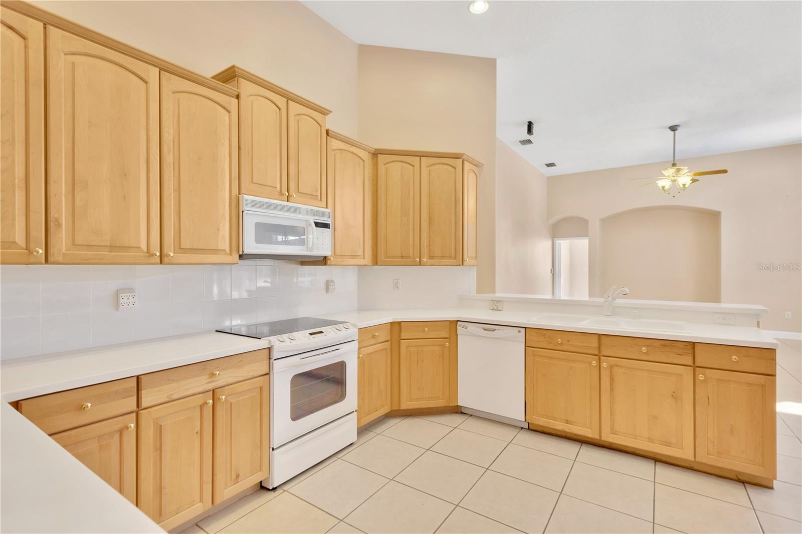 16315 SAMBOURNE LN, TAMPA, FL, 33647