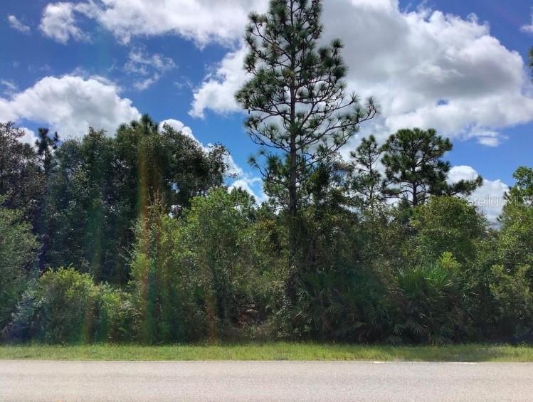 STARRY ST, ORLANDO, FL, 32833