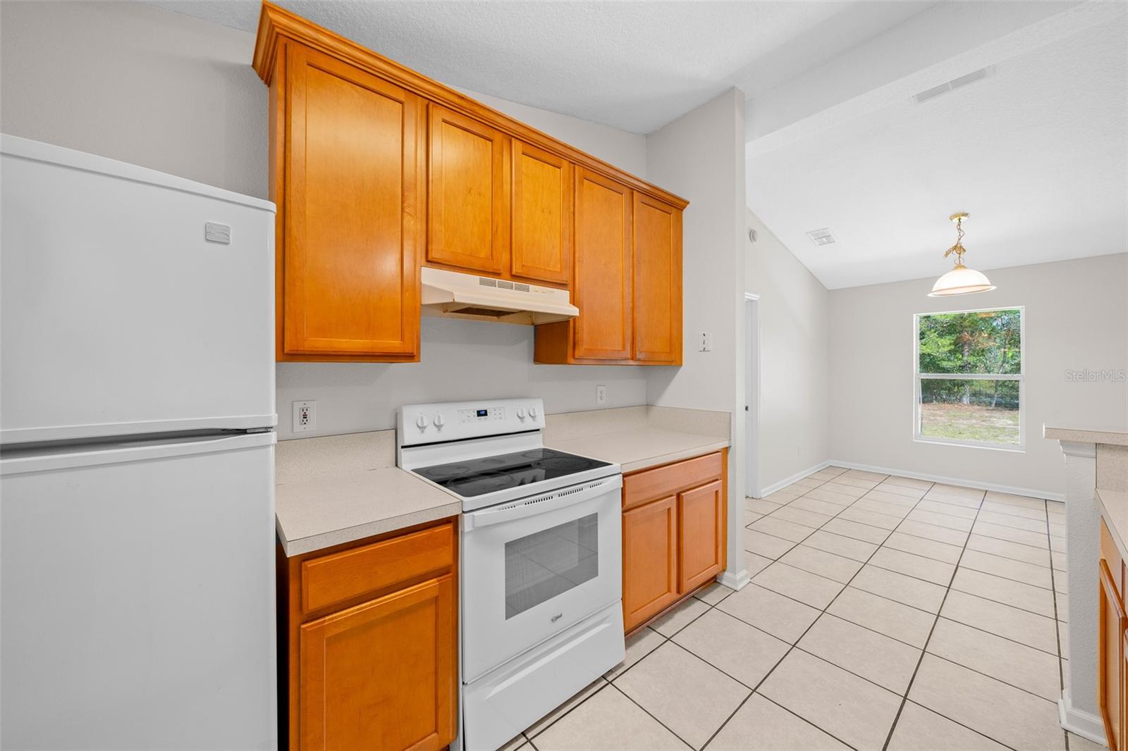 12782 SW 58TH CIR, OCALA, FL, 34473