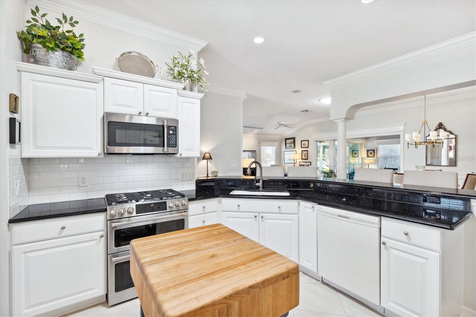 1676 NORFOLK AVE, THE VILLAGES, FL, 32162
