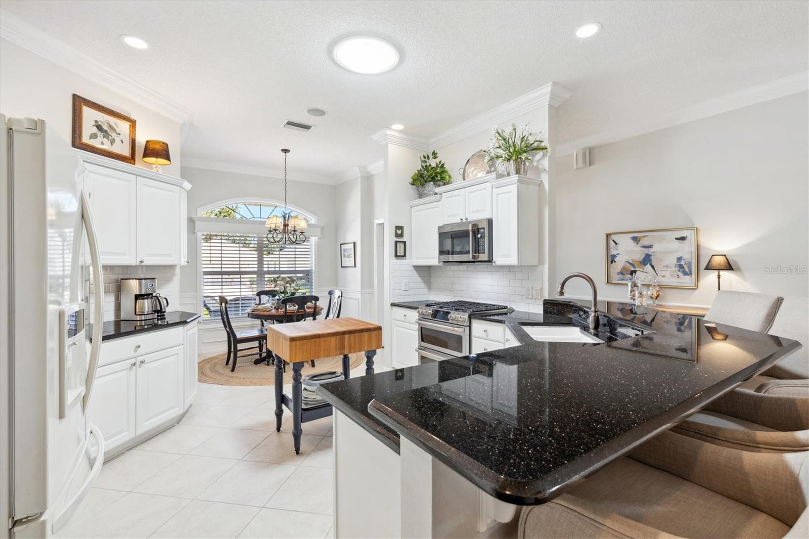 1676 NORFOLK AVE, THE VILLAGES, FL, 32162