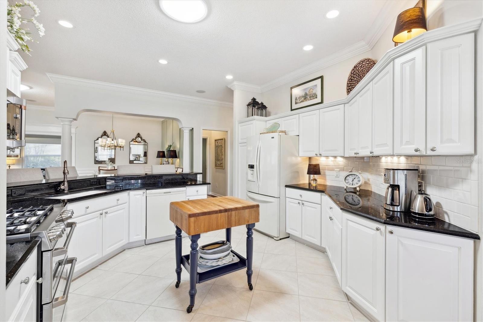 1676 NORFOLK AVE, THE VILLAGES, FL, 32162