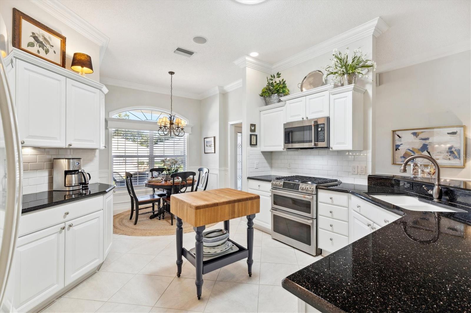 1676 NORFOLK AVE, THE VILLAGES, FL, 32162