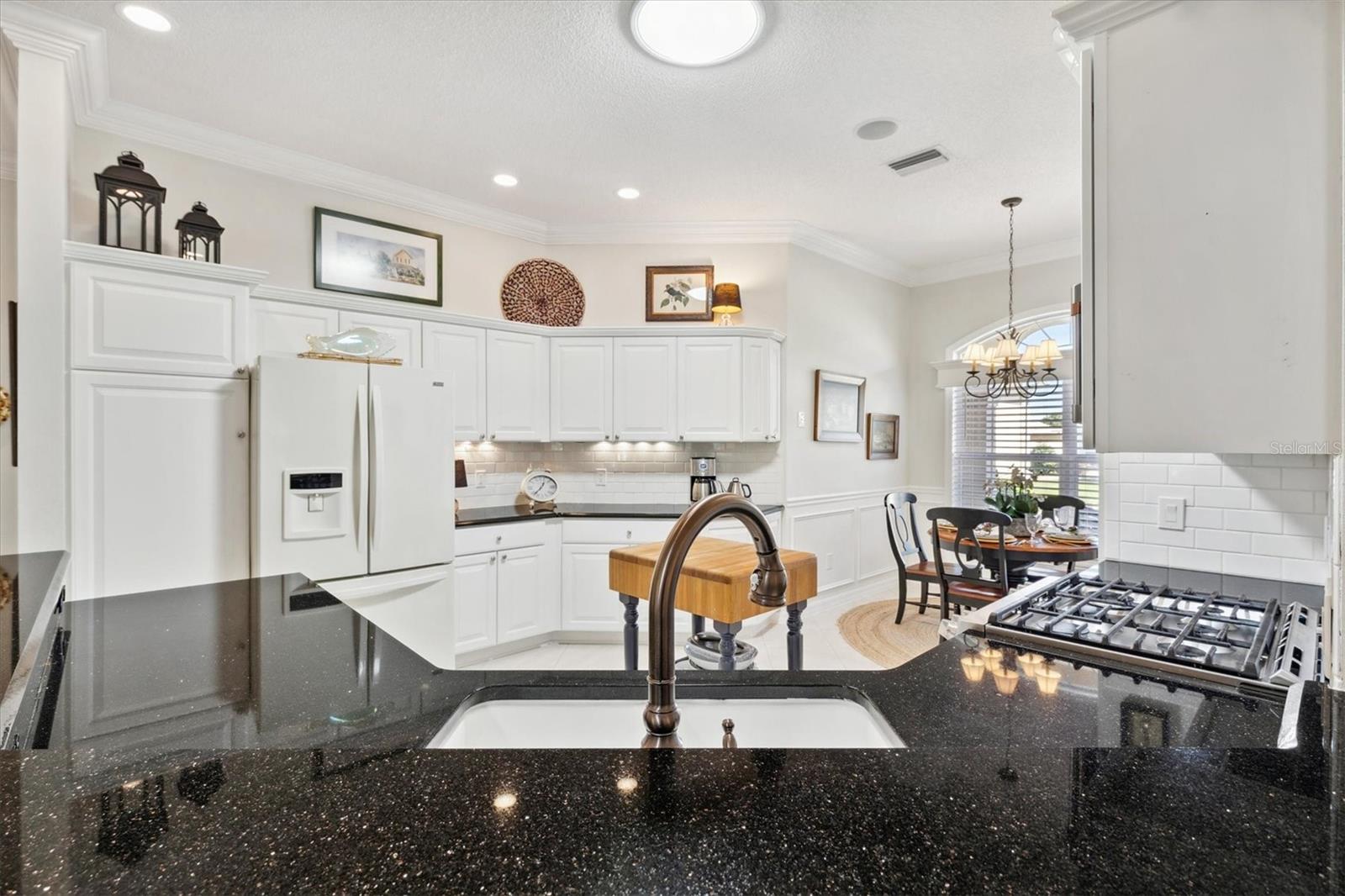 1676 NORFOLK AVE, THE VILLAGES, FL, 32162