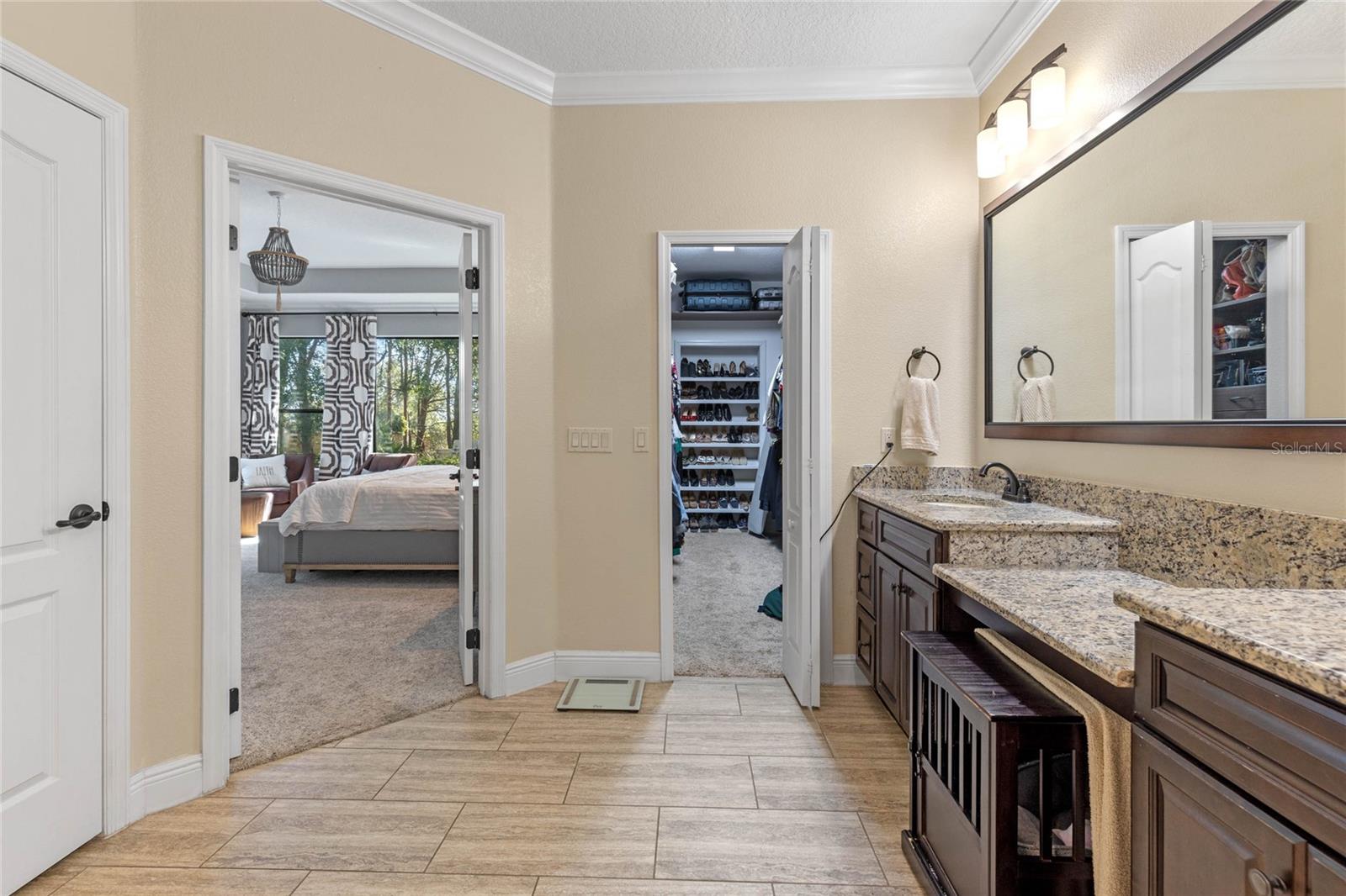 5431 HERITAGE PASS CIR, MOUNT DORA, FL, 32757