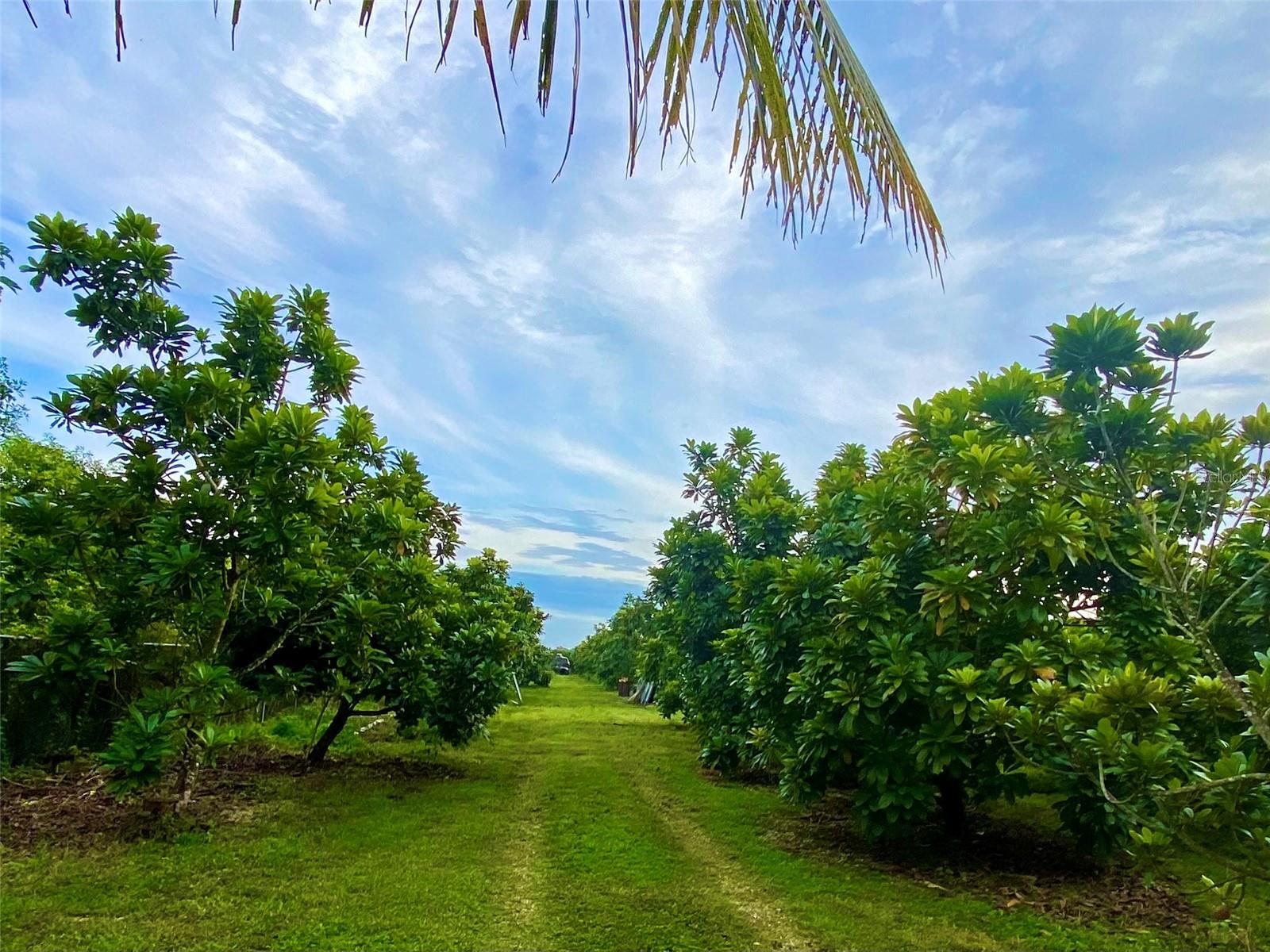 21050 SW 376 ST, HOMESTEAD, FL, 33034