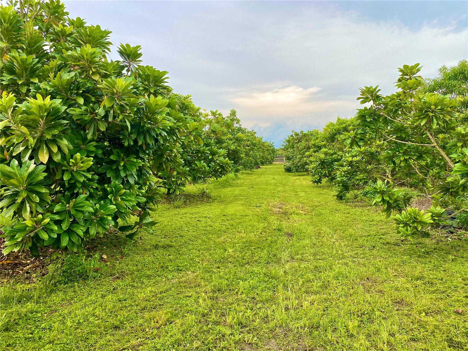 21050 SW 376 ST, HOMESTEAD, FL, 33034