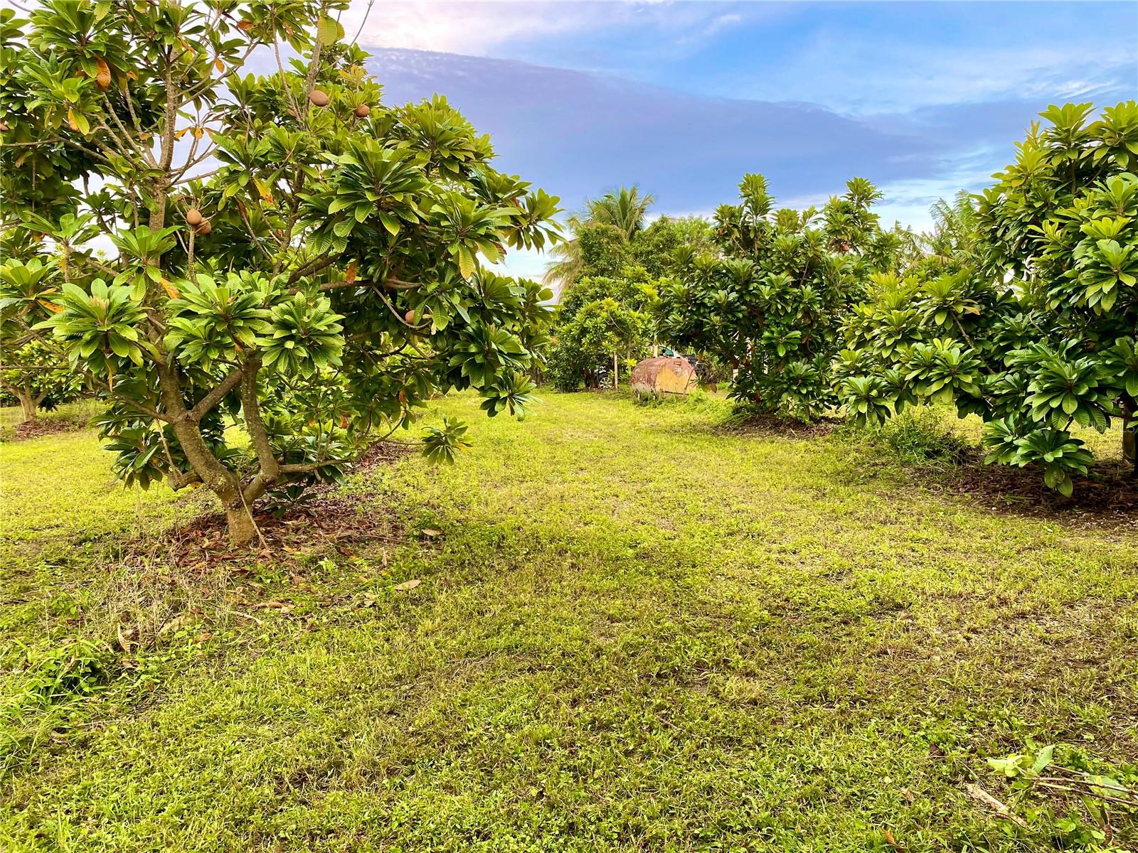 21050 SW 376 ST, HOMESTEAD, FL, 33034