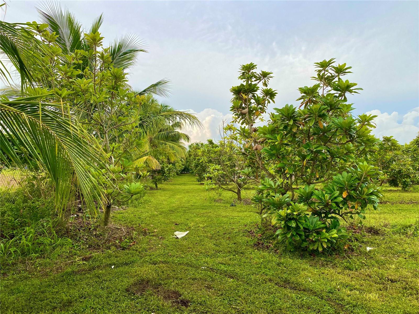 21050 SW 376 ST, HOMESTEAD, FL, 33034