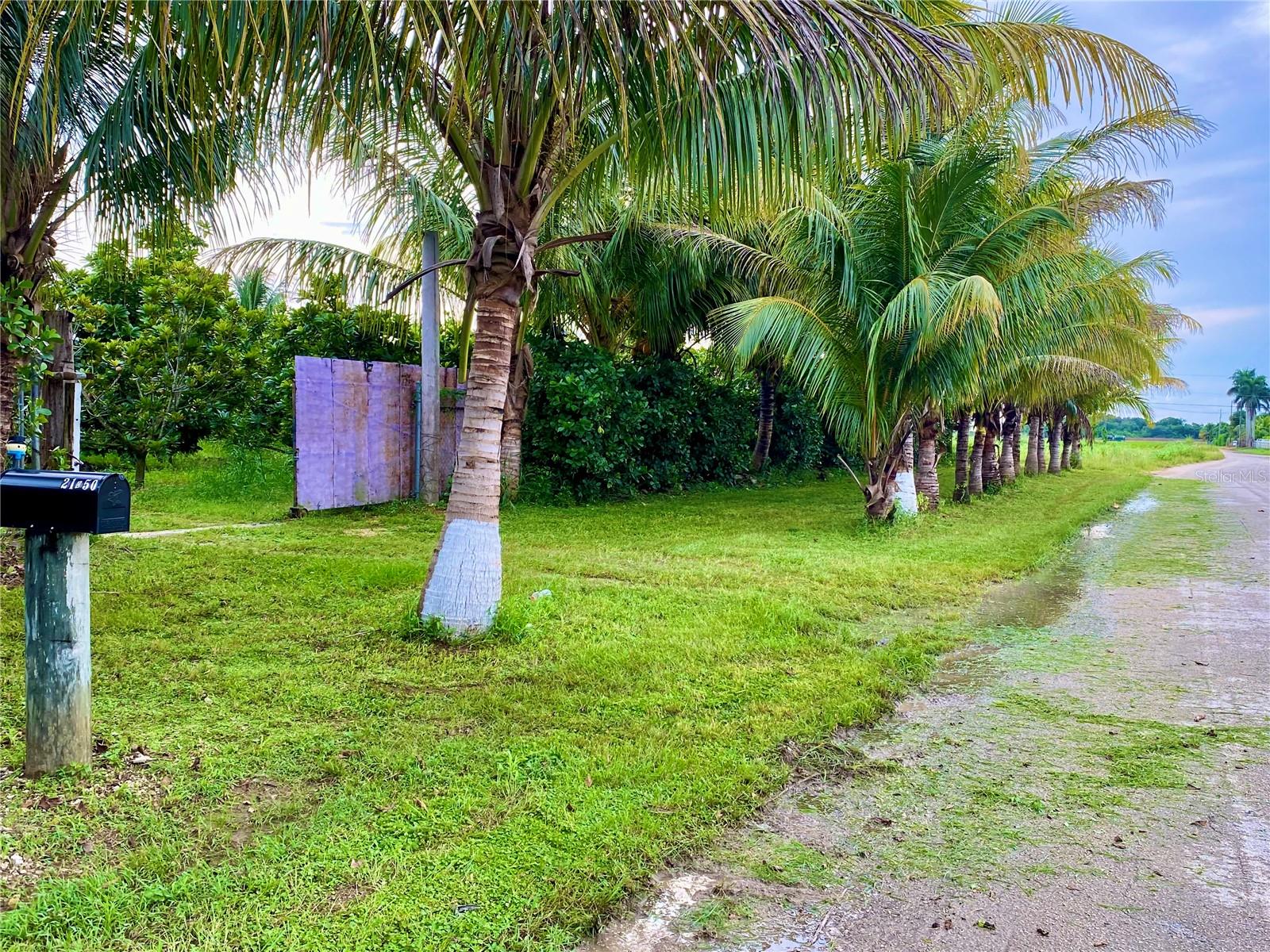 21050 SW 376 ST, HOMESTEAD, FL, 33034