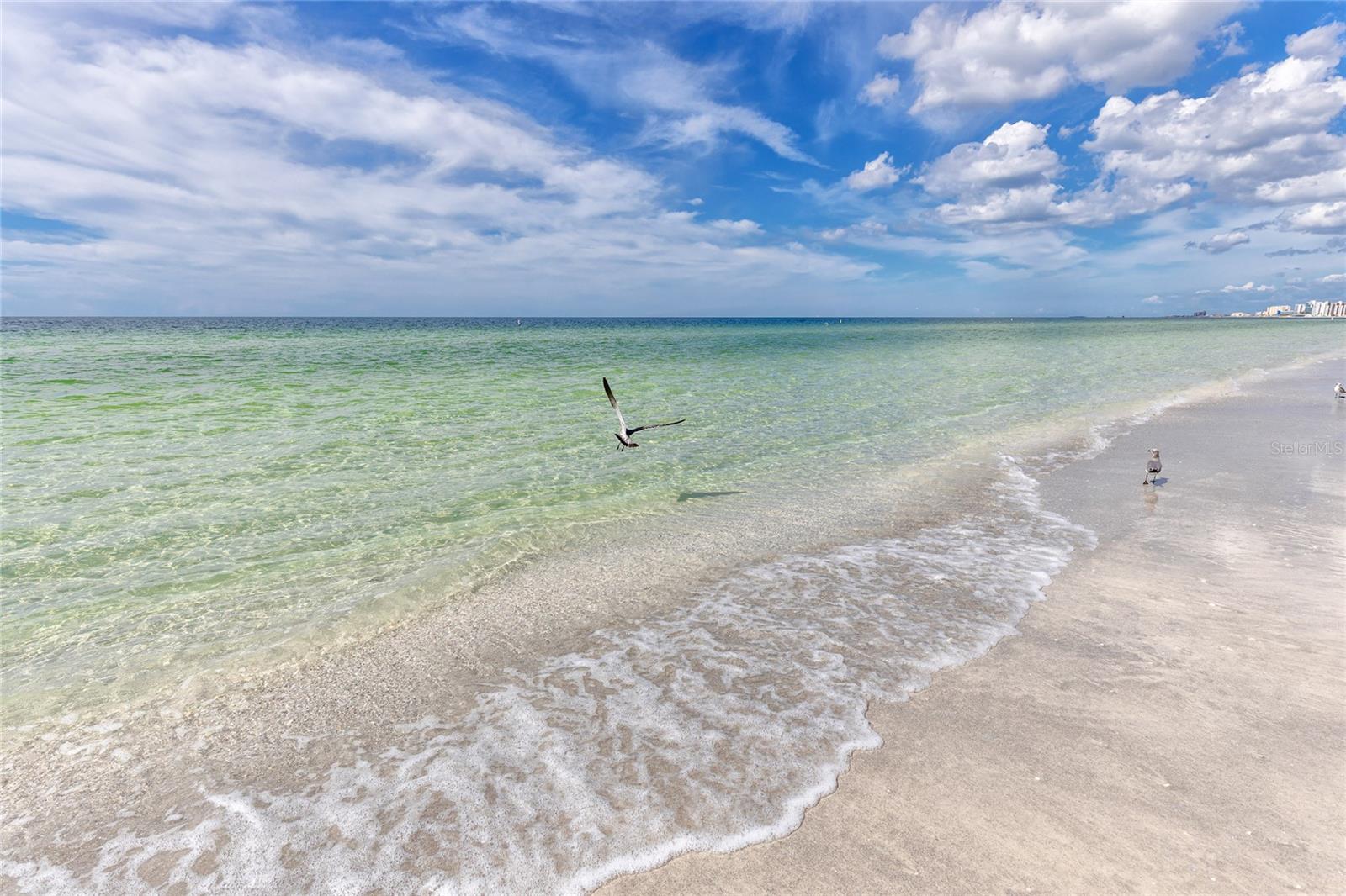 2185 PINE RIDGE DR, CLEARWATER, FL, 33763