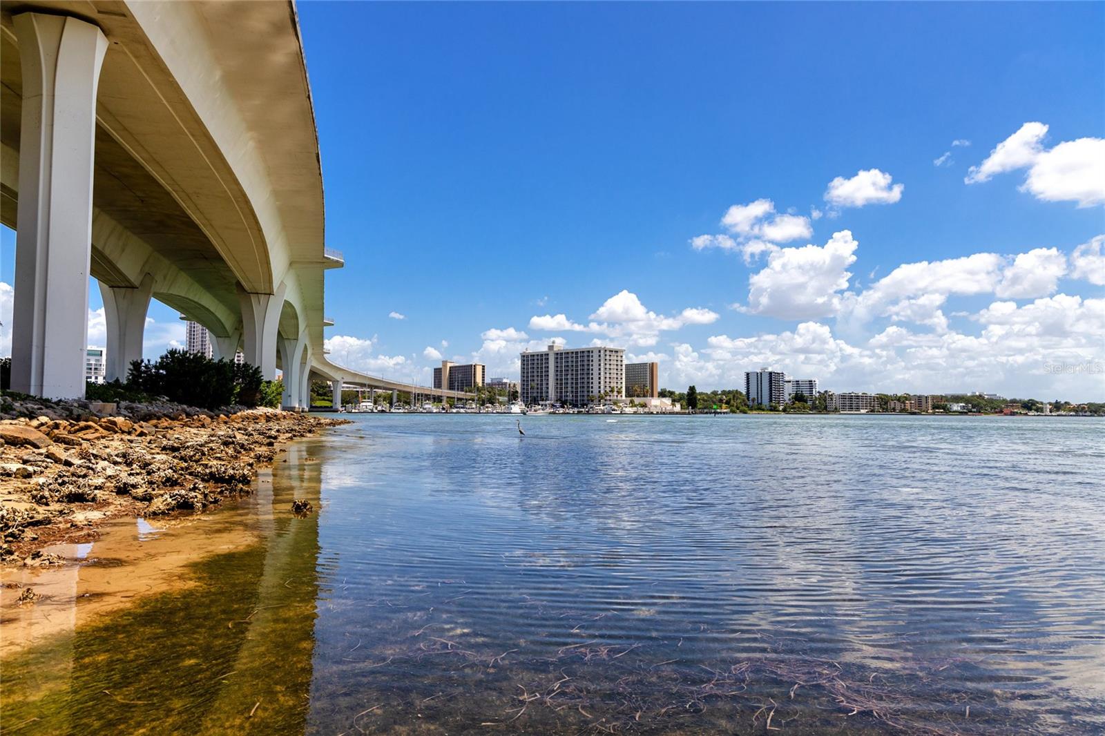 2185 PINE RIDGE DR, CLEARWATER, FL, 33763