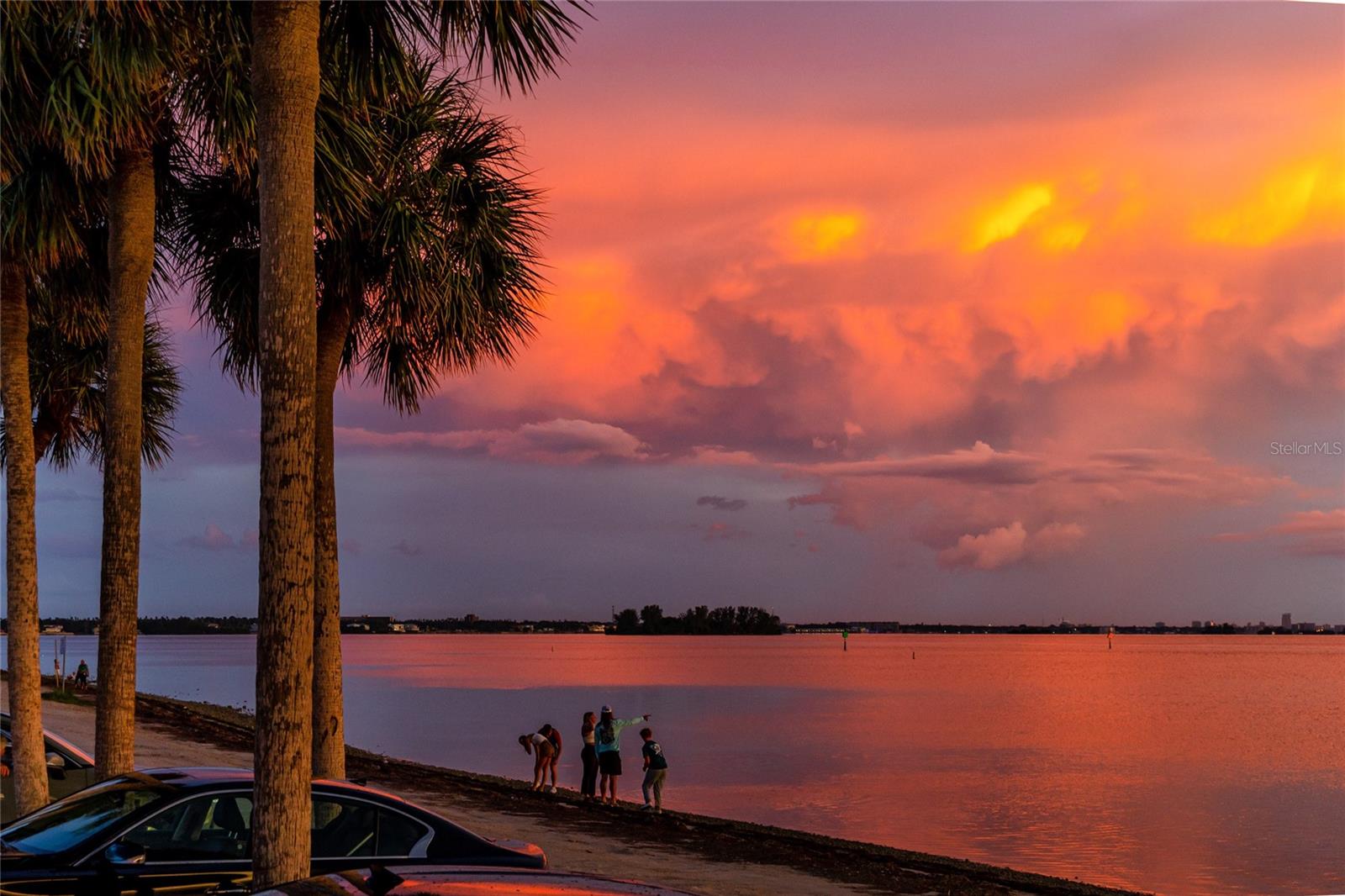2185 PINE RIDGE DR, CLEARWATER, FL, 33763