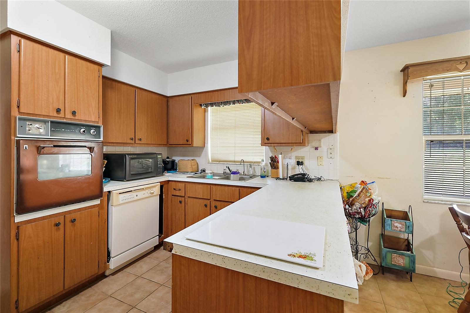 5011 GRIFFIN VIEW DR, LADY LAKE, FL, 32159