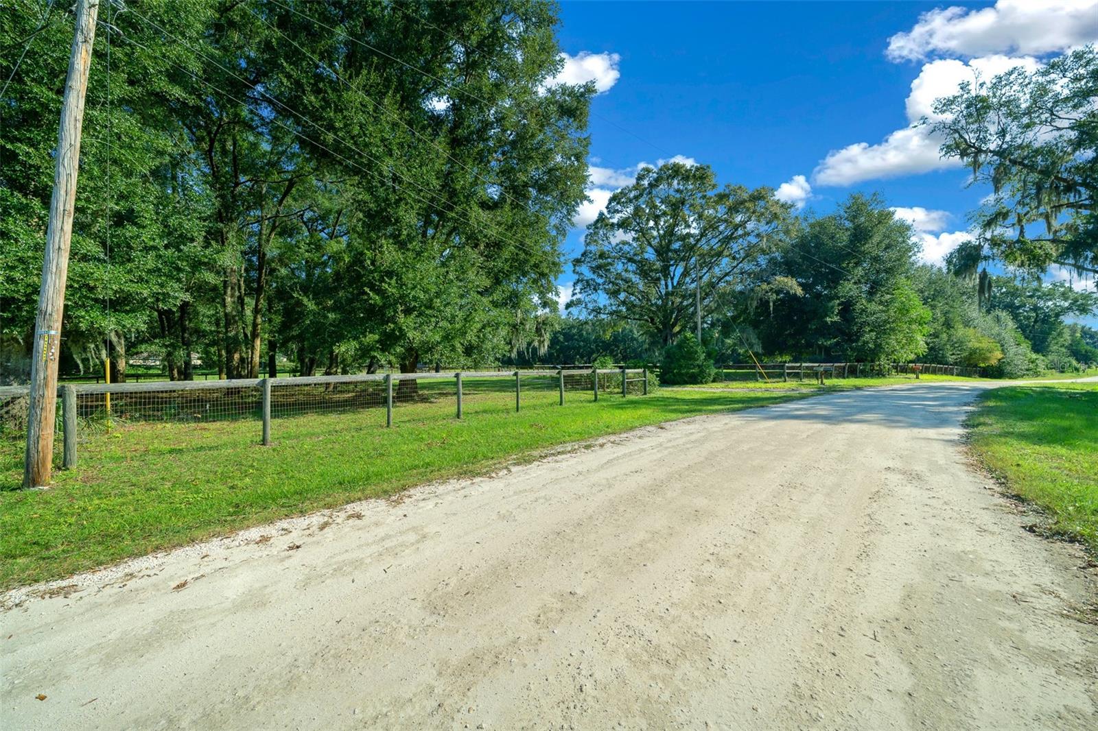 399 NE 155 PL, CITRA, FL, 32113