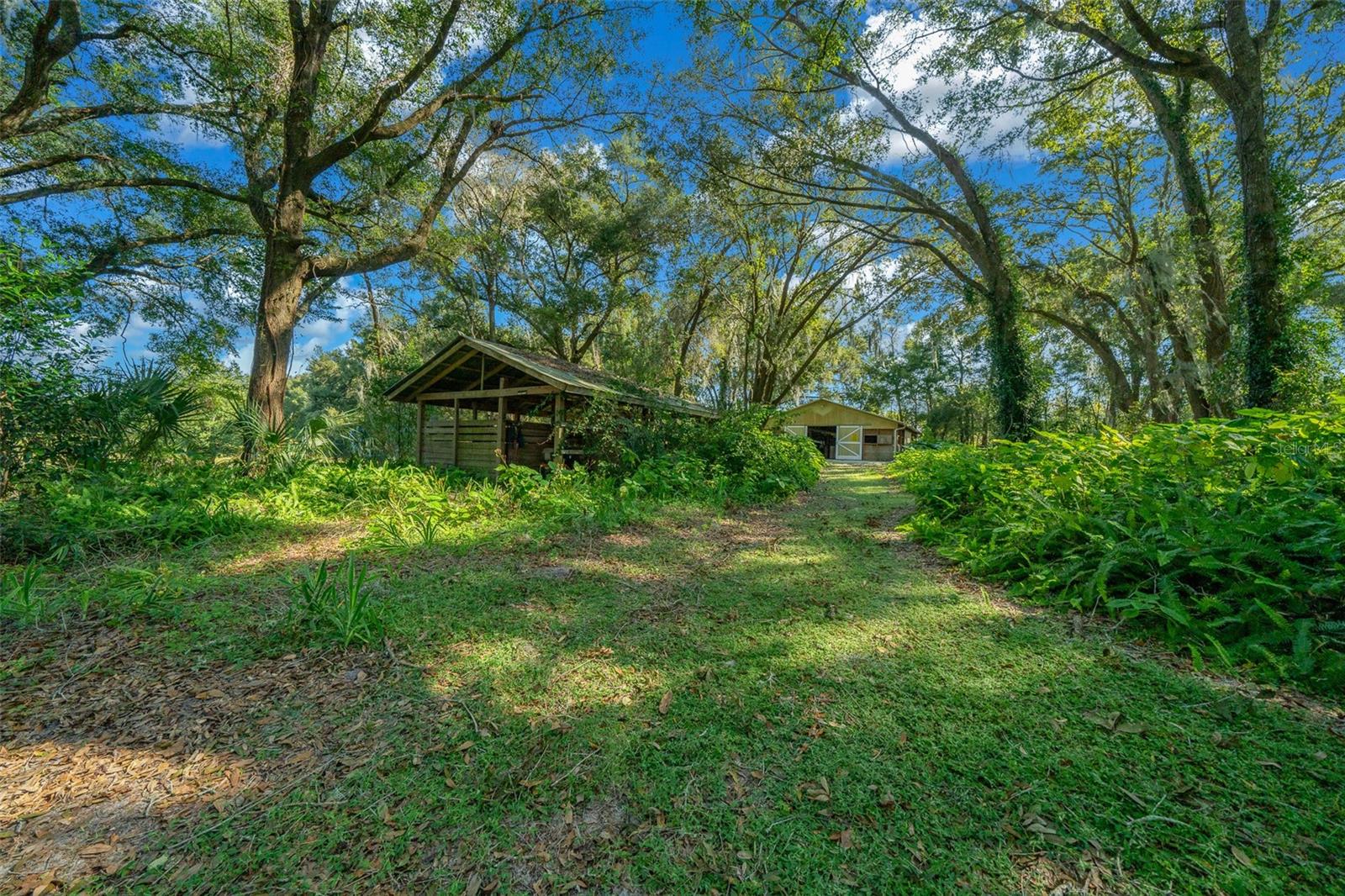 399 NE 155 PL, CITRA, FL, 32113