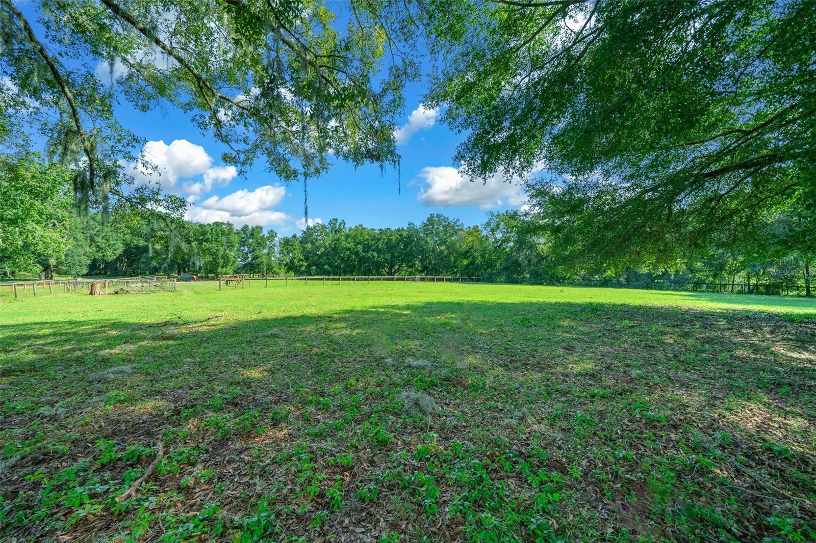 399 NE 155 PL, CITRA, FL, 32113