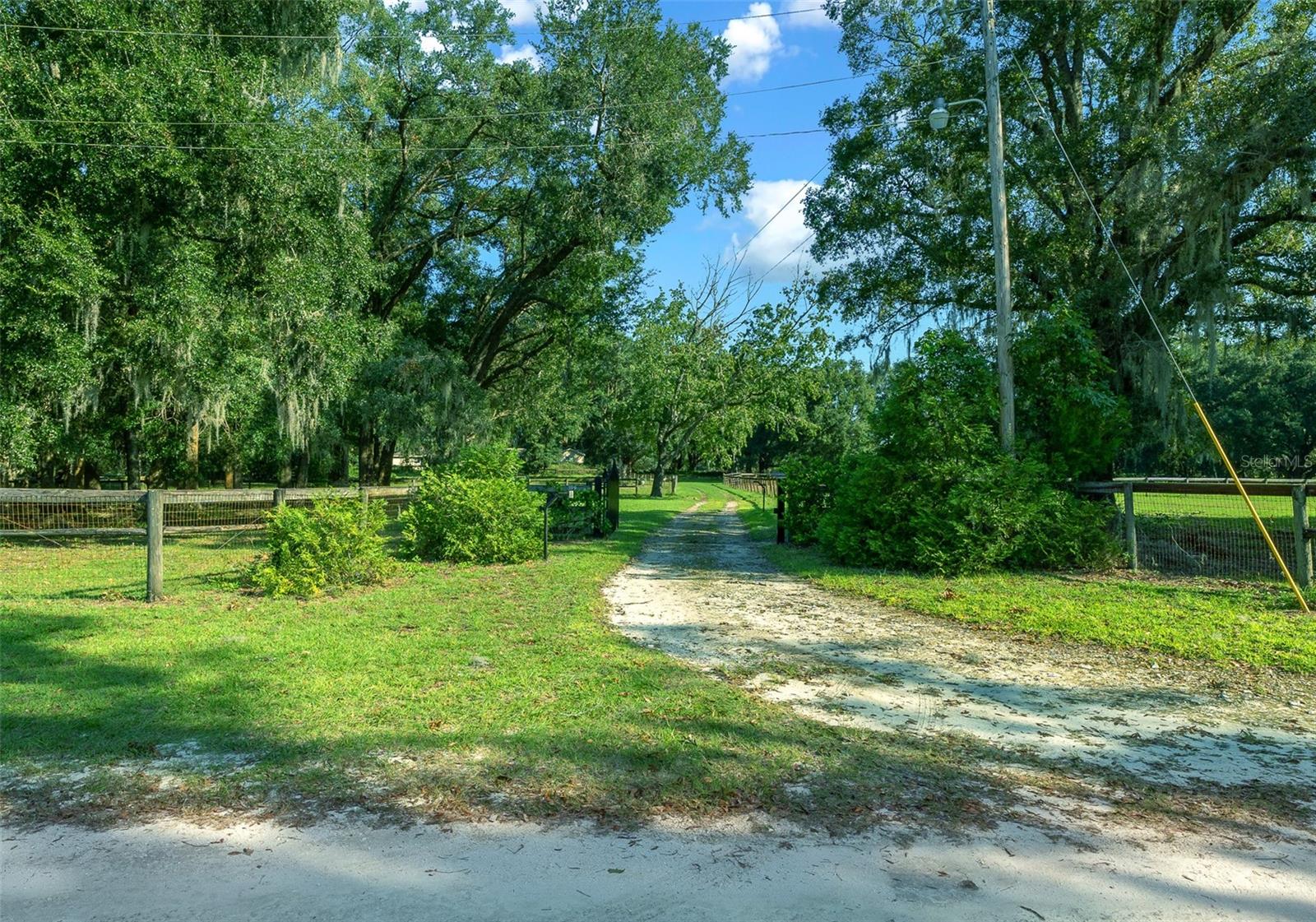 399 NE 155 PL, CITRA, FL, 32113